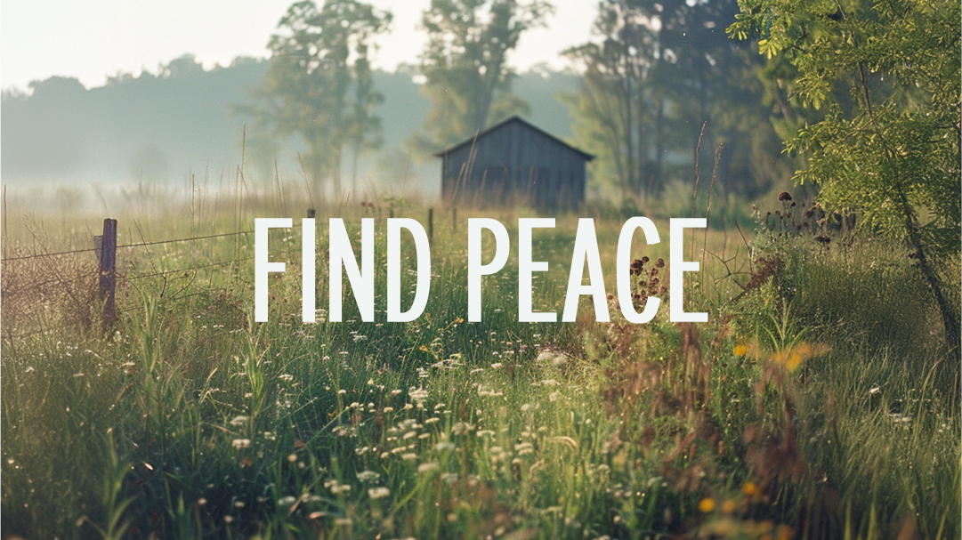 Peaceful Field 