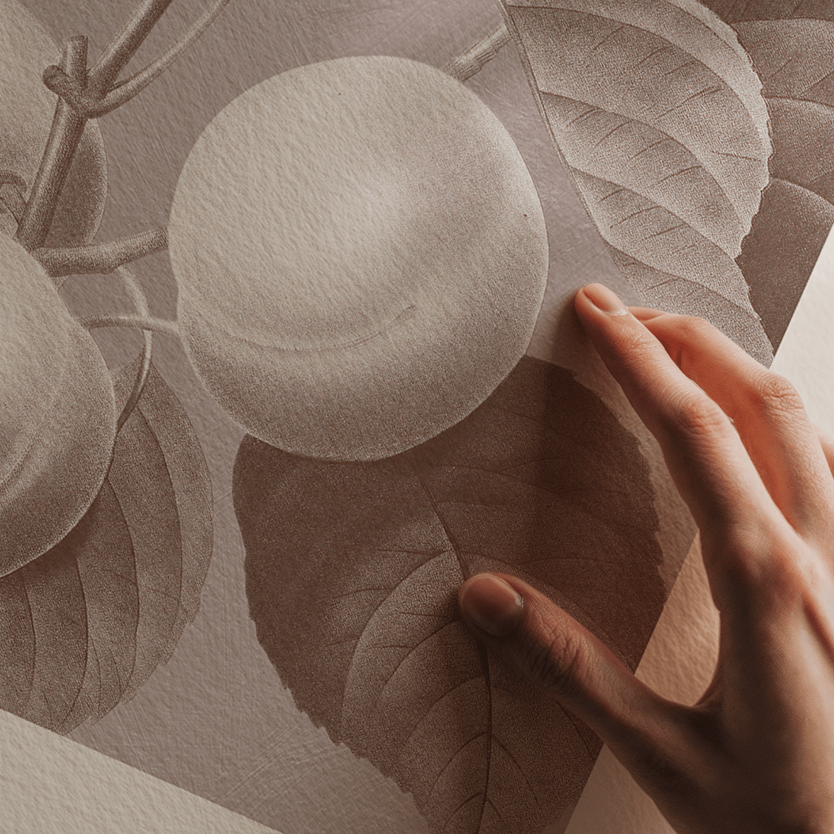 Hand holding a round object against a textured background with leaves