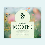 White jar candle labeled “Rooted” with a gold lid, featuring a calming lavender scent. A Christian gift symbolizing faith grounded in God’s love and peace.