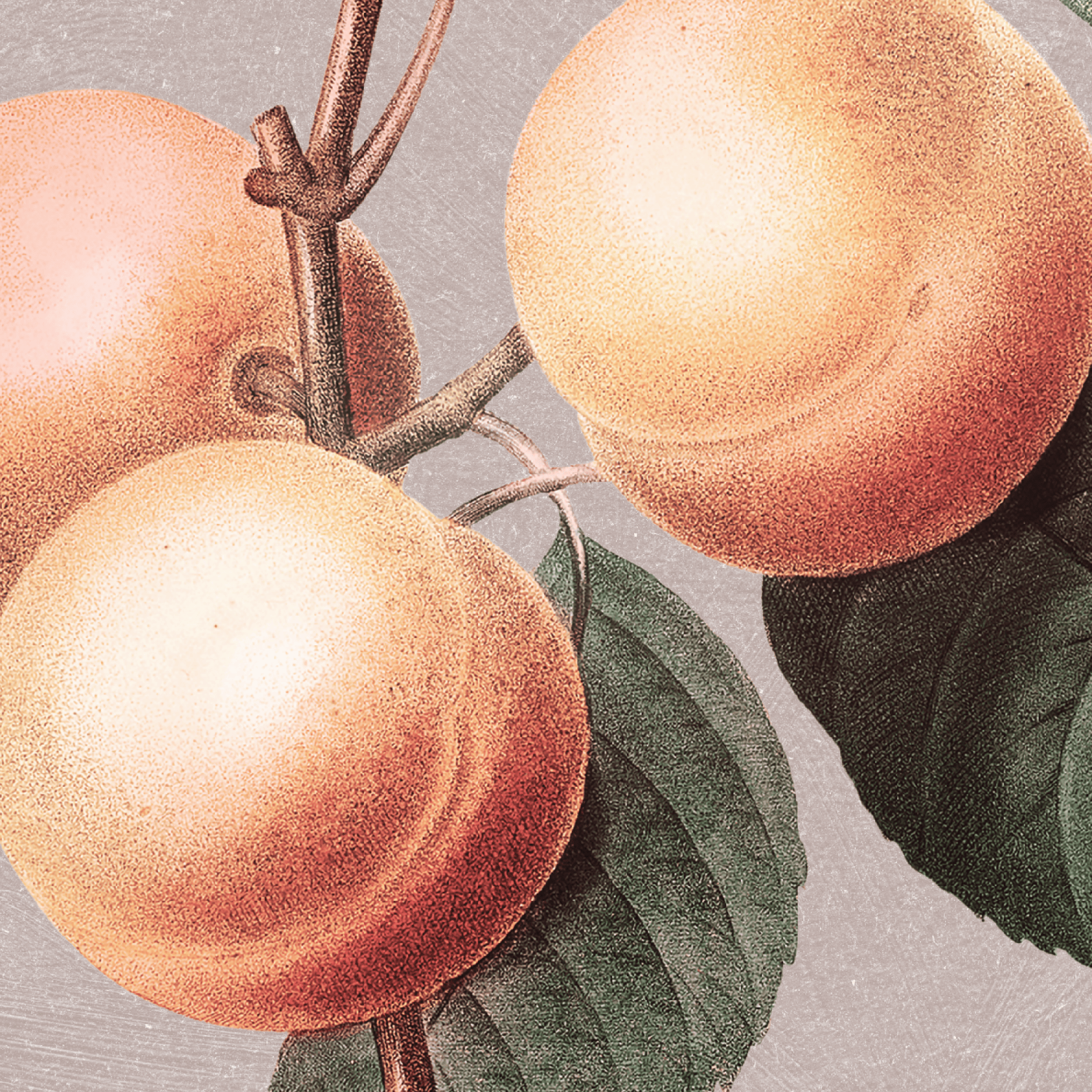 Gentleness — Fruit of the Spirit Art Print | Christian Wall Art