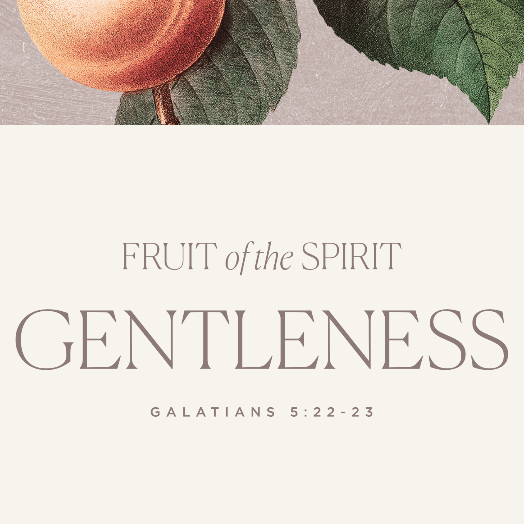 Gentleness — Fruit of the Spirit Art Print | Christian Wall Art