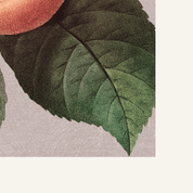 Gentleness — Fruit of the Spirit Art Print | Christian Wall Art