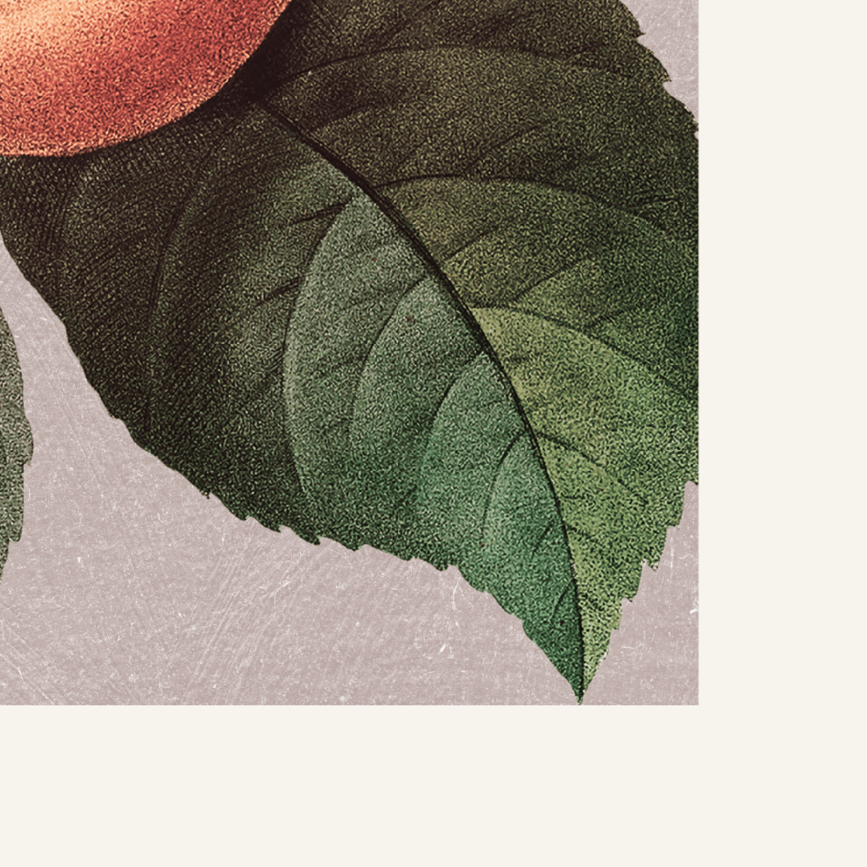 Gentleness — Fruit of the Spirit Art Print | Christian Wall Art