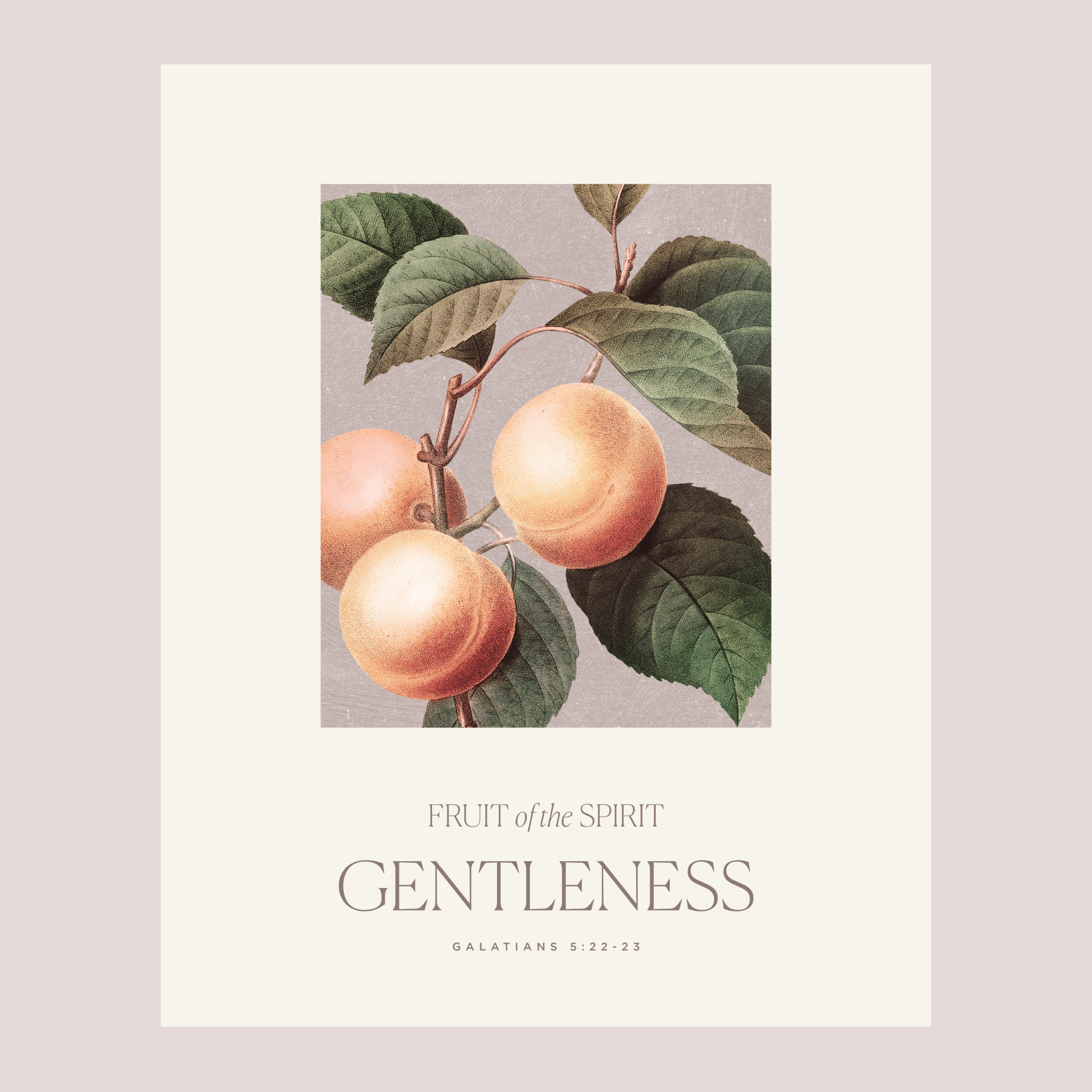 A vertical art print poster featuring a vintage botanical illustration of three peaches on a branch with green leaves, captioned with 'FRUIT of the SPIRIT', 'GENTLENESS', and 'GALATIANS 5:22-23' on an off-white background.