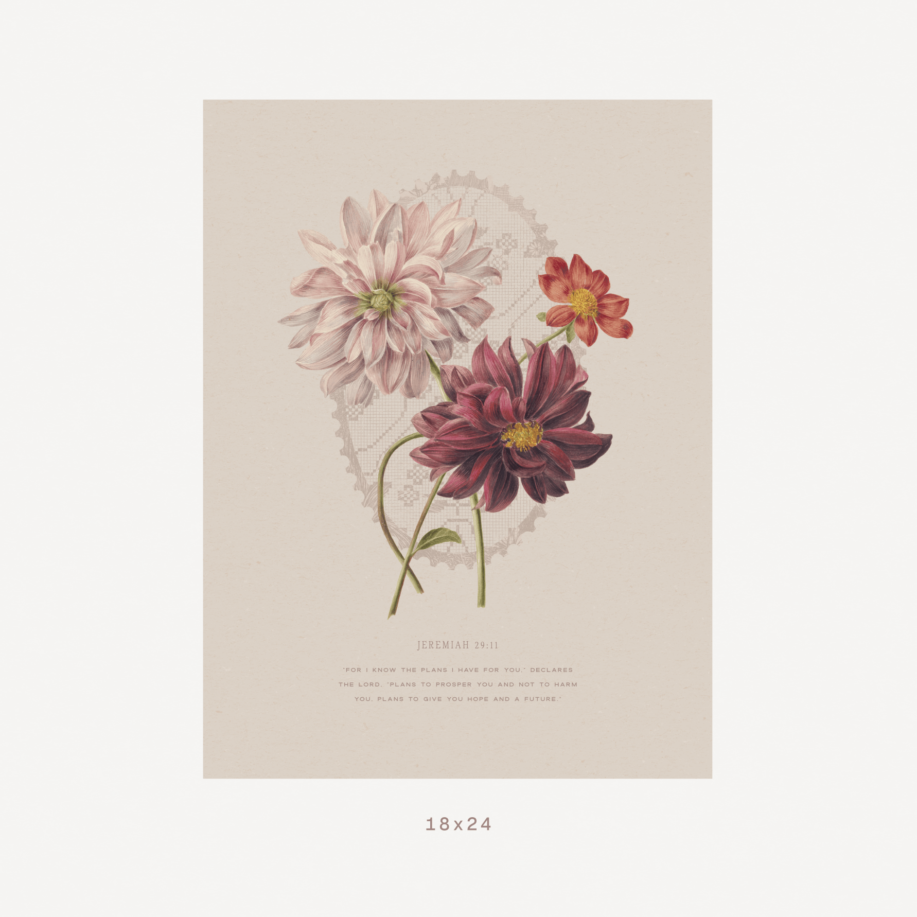 A vintage botanical art print featuring three dahlia flowers in soft pink, deep burgundy, and coral tones on a warm beige background, with small decorative text below and a size marker reading 18x24 centered underneath.