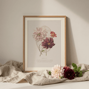 A framed botanical art print featuring vintage illustrations of dahlias, styled on a neutral beige surface with a draped linen cloth and fresh flowers in the foreground.