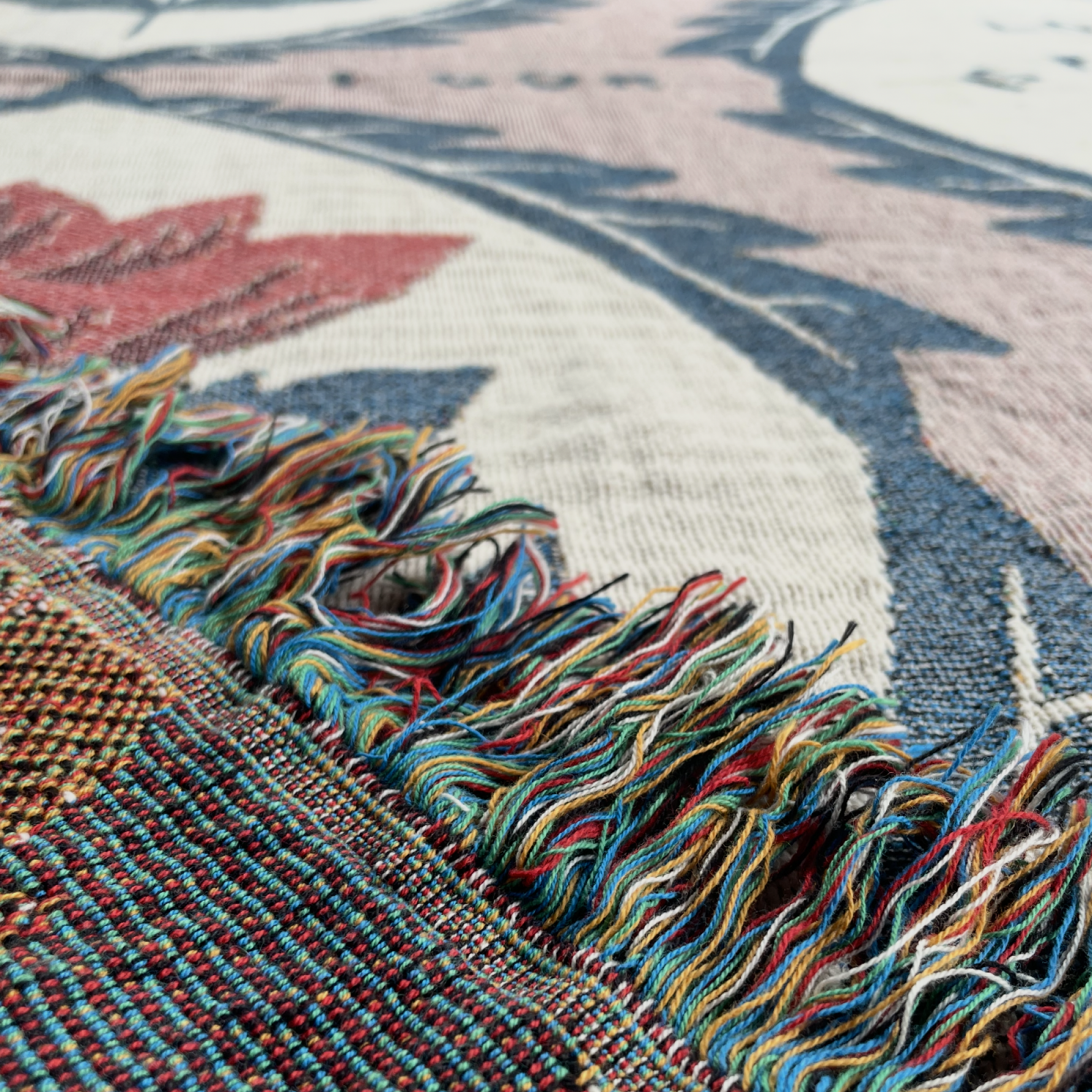 Close-up of a woven rug with multicolored fringe and a floral pattern in cream, dusty pink, blue-gray, and rust red.