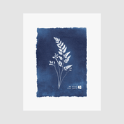 Blue watercolor painting with white botanical illustration on a light gray background