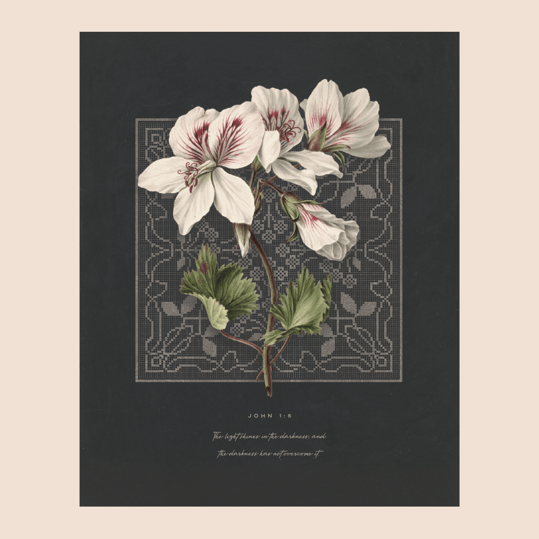 The Light Shines in the Darkness John 1:5 print — white botanical blooms against a charcoal ground with lace pattern, christian scripture wall art