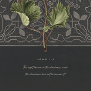 Detail of the John 1:5 verse and botanical stem in script — "The light shines in the darkness" scripture wall art