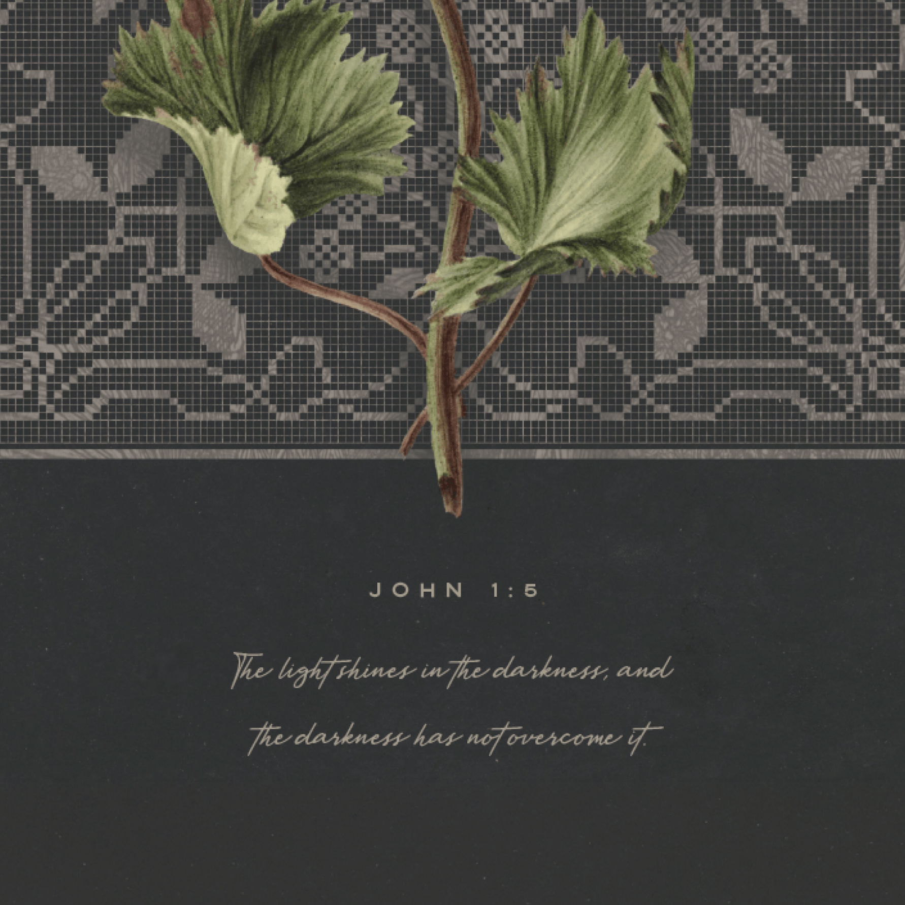Detail of the John 1:5 verse and botanical stem in script — "The light shines in the darkness" scripture wall art