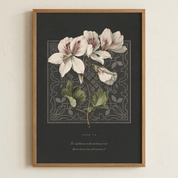 John 1:5 print in a thin wood frame on a plaster wall — minimalist christian scripture wall art
